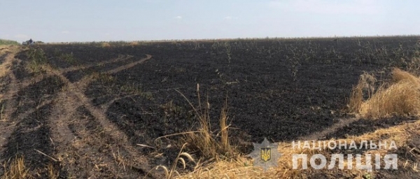 На севере области кто-то поджёг 13 гектаров пшеницы