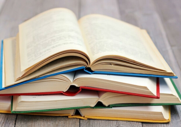 В Одессе суд обязал мужчину читать исторические книги за антиукраинские посты