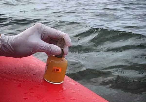 Свежий мониторинг воды в Одессе: что известно на 28 июня 