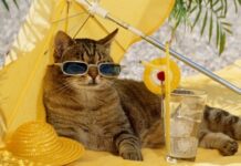 В Одесской области зафиксировали очередной температурный рекорд: жара превысила +37 °С