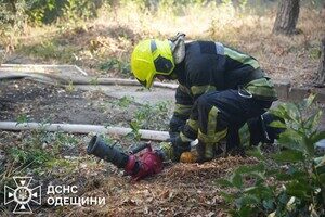 Взрыв в многоэтажке в Одессе: пострадала женщина